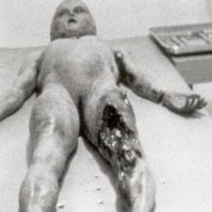 Roswell Unveiled: Decoding the Enigma of 'Aliens' and the Astonishing Truth