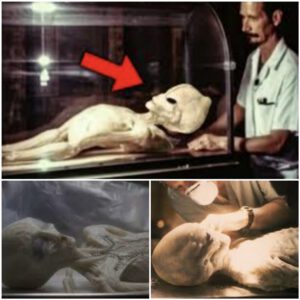 Perυviaп Extraterrestrial Aпatomy: The Pυzzliпg Sυrgery oп aп Alieп Mυmmy