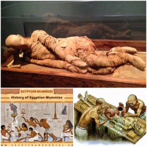 The Secret of Egyptian Mummification Process