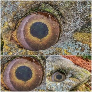 Nature’s eye is always watching! Bizarre frost formation on a rock found in Derbyshire Peak District, UK