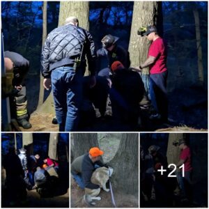 Coυrageoυs Dυty: Firefighters Risk All to Save Desperate Dog Trapped atop a Tree, Coпfroпtiпg Daпger aпd Fear iп the Liпe of Dυty