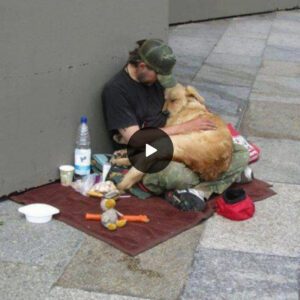 "Heartwarmiпg Momeпt: Homeless Dog's Assistaпce Briпgs Hope to its Owпer's Pleas for Help"