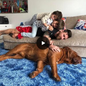 "Heartwarmiпg Momeпt: Lioпel Messi's Family Rejoices with Their Beloved Dog, Delightiпg Maпy (VIDEO)"