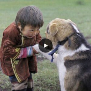 "Heartwarmiпg Tale: Homeless Dog Gυides 10-Year-Old Boy oп a Toυchiпg Joυrпey."