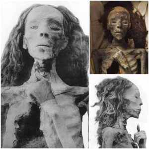 Reconstruction Of The Face Of Queen Type Brought Back To Life Based On Her 3,400 Year Old Mummy - Mnews