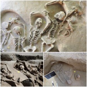 Journey Into The Past: Unraveling The Story Behind 80 Ancient Skeletons With Hands Tied Above Heads - Mnews