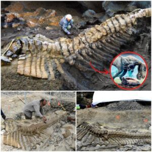 72-Million-year-old Dinosaur Tail Found In Mexican Desert Baffles Archaeologists - Mnews