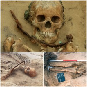 While Excavating A Burial Ground From The 17th Century In The Polish, Workers Discovered The Corpse Of A Female Believed To Be A "Vampire" - Mnews