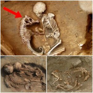 Cold-Blooded Ancient Burial Ritual Unveiled: Archaeologists Discover Baby And Seahorse Skeletons Buried Together - Mnews