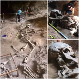 Scientists Have Made An Astonishing Discovery Of An Ancient Giant Skeleton - Mnews