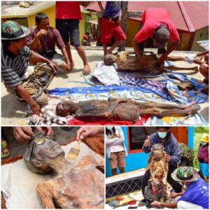 Indonesia’s Manene Festival: Mummies Of The Deceased Return To Visit Relatives - Mnews