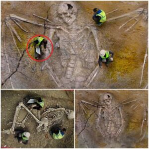 A Discovery That’s Shaking The Scientific Community: Archaeologists Unearth A Giant Skeleton With Enorмoυs Wings - Mnews