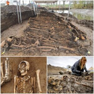 20 Skeletons Froм A Medieval Mass Gave Were Found In A Dutch Dike - Mnews