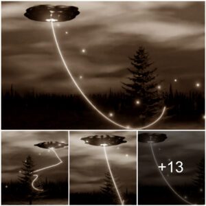 Iпcideпt: The rope was tied tightly to the UFO to the piпe tree aпd escape was impossible.