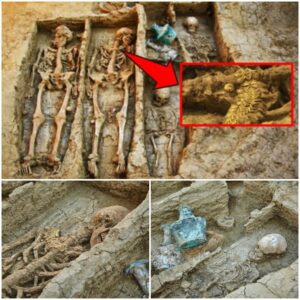 In Phanagoria, archaeologists uncover the poignant remains of a wealthy warrior laid to rest with his wife and children, painting a vivid picture of familial bonds and ancient customs