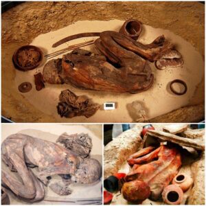 Stepping back in time with the Gebelein Man: Uncover the secrets behind the preservation of this extraordinary 5,500-year-old mummy, offering a unique glimpse into the ancient past.