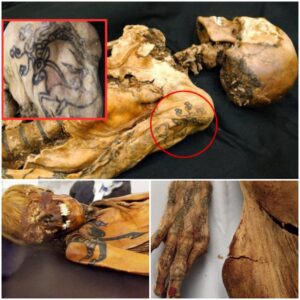 Unraveling ancient secrets: A 2,500-year-old mummy adorned with enigmatic tattoos and clutching a satchel of weed offers a unique window into the customs and cultures of the past.