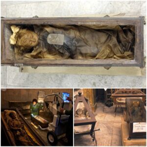 In Sicily, Italy, the mummified body of two-year-old Rosalia Lombardo, who died roughly 100 years ago, is said to be the 'most beautiful' preserved person in the world. Discover the remarkable story behind this astonishing preservation.