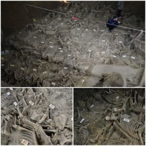 100 Horse Skeletons Found in 2,400-Year-Old Burial Pit Near Lord's Tomb - A Fascinating Discovery! 🐎🌟