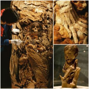 Unveiling ‘La Senorita’: Astounding Discovery of Mother and Child Inca Mummy from Lima’s Enigmatic Purchuco-Huaquerones Cemetery