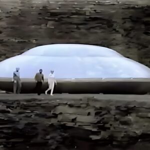 People accidentally took a photo of humans and aliens walking together on a UFO. (video)