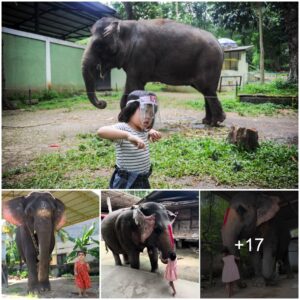 Little Girl’s Playful Introduction Leads to a Joyful Elephant Ride in Thailand (Video)