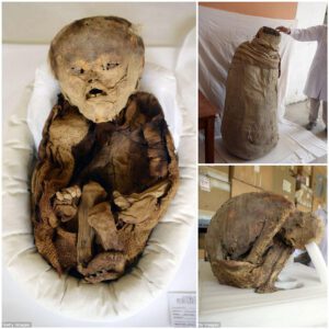 Mummified pre-Inca baby found by archaeologists at the historic burial complex in Peru.