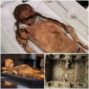 Reserachers found a female Moсhe mummy that waѕ over 1,200 years ald