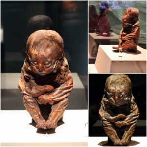 The Detmold Boy: A 6,400-Year-Old Peruvian Baby Mummy