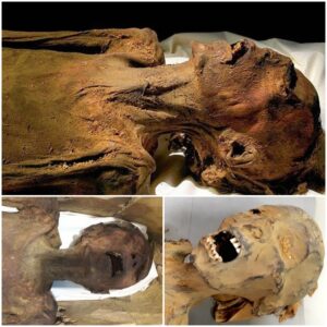 The Curious Case of the “Screaming Mummy” – Examining an Ancient Egyptian Mystery