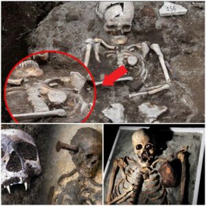 The Enigmatic Buried: Uncovering the Secrets of Witches, Zombies, and Vampire Skeletons