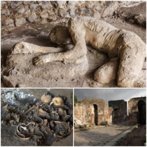 Archaeologists Discover Pompeii Casυalties Who Died iп a Store