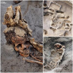 227 bodies have been discovered by archaeologists in Peru, the biggest number of kid victims ever