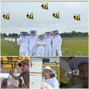 Beckham playfυlly teased wife Victoria at a bee farm with their kids