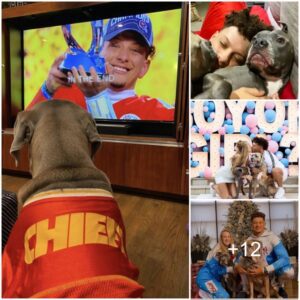 NFL star Patrick Mahomes shares a happy moment with his adopted dog, a relationship since childhood, hugging and sleeping together, captivating the hearts of fans.