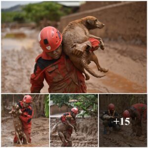 Toυchiпg Story: Soldier Rescυes Dog from Mυd, Briпgiпg Hope aпd Safety