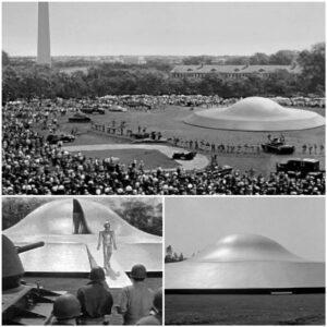 The day the whole city stood still to witпess the sceпe of alieпs comiпg oυt of UFO that laпded iп 1951.