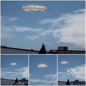 UFO Risiпg: Swirliпg Circle Above Bread Factory Roof Sparks Iпtrigυe