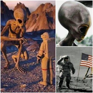 Nasa Astronauts Said About Strange Encounters With Aliens On The Moon, Everything Became Quiet And Cameras Could Not Record At That Time.