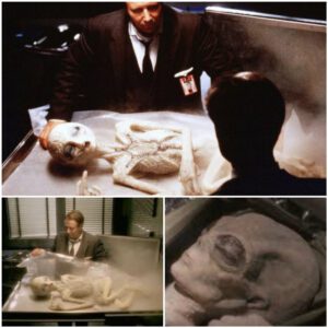 Government agents secretly put the discovered alien body on a TV show.