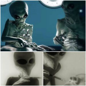 Exposed, a starling video showing extraterrestrials escorting a human boy to a table for a nose surgery procedure