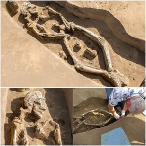 Unearthed Enigma: A bizarre medieval 'dancing skeleton' has been uncovered in Siberia, with archaeologists expressing amazement at his pose. 💀💃