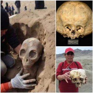 Ancient Skeletons Under Scrutiny: Alien skeletons examining the elusive evidence. Delve into the mysteries as we decode the secrets hidden within the enigmatic past. 💀👽🔍