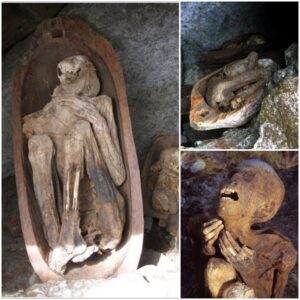 Preserved by Time: Fire Mummies Found in Caves of Philippines 🔥🏞️ Unearth the remarkable discovery of human remains preserved through a unique process of dehydration and smoking.