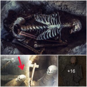 Gruesome Discovery: An Ancient Human Skeleton, Silent Witness to a 2,000-Year-Old Tragedy - Unraveling the Mysteries of the Past. 🕵️‍♂️🗿