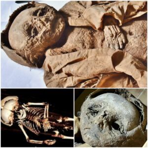 Aristocratic Mystery Revealed: The mummified boy found in a family crypt died from a lack of exposure to sunlight, unveiling ancient health practices. 🤯🤯