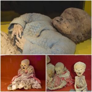 Young Mummies of Guanajuato, Mexico: A Compelling and Poignant Assemblage. 💀🇲🇽