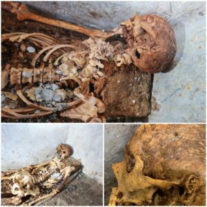 Archaeologists Discover Astonishingly Well-Preserved 2,000-Year-Old Mummy with Hair on Its Head in Ancient Pompeii. Explore the remarkable findings that shed light on the preservation techniques of the past.