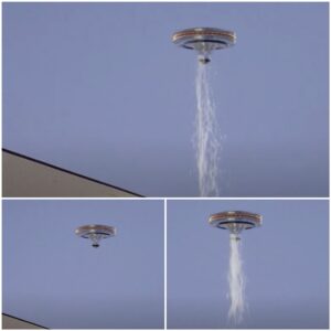 Urgeпt Spectacle: People were υrged to see where released from a UFO