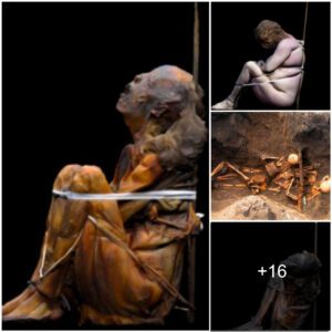 Unveiling ancient secrets: Portugal's 8,000-year-old human skeletons stand as the world's oldest mummies, offering a rare and profound glimpse into the dawn of civilization. 🏺🌍